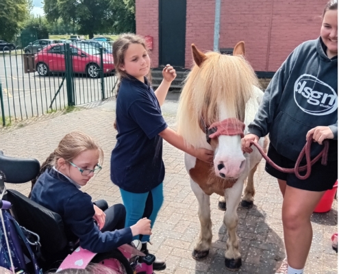 The League of Remembrance Riding for the Disabled